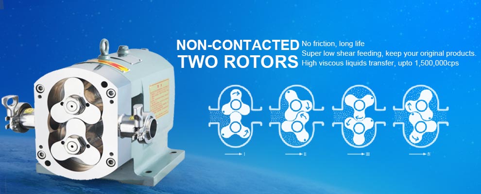 Bonve sanitary bare shaft lobe pump