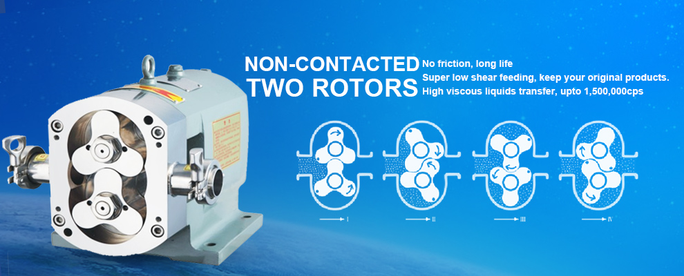 Rotary lobe pumps for dairy