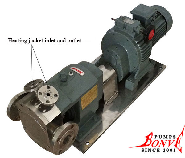 Bonve rotary lobe pump supplier