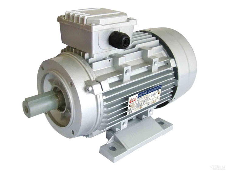 Stainless steel rotary lobe pumps