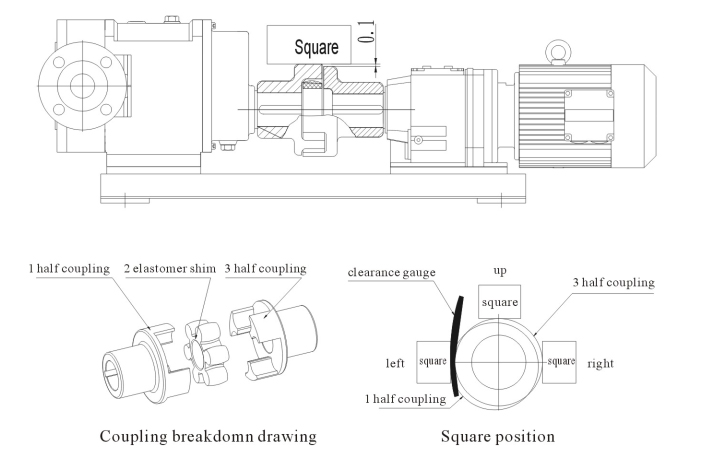 Sanitary lobe pumps