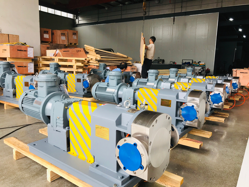 Custom sanitary Lobe Pumps