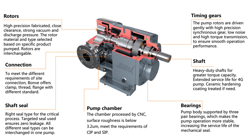 Fatty acid transfer pump