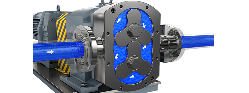 Fatty acid transfer pumps