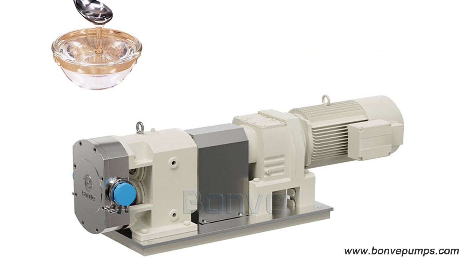 Food Grade SS316 Rotary Lobe Pumps