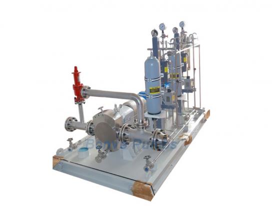 Rotary lobe pump