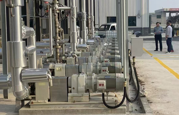 Polyester Polyol Transfer Pump Case | Bonve Lobe Pump Application
