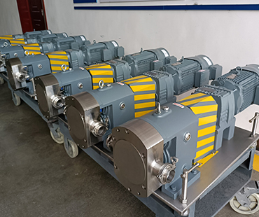 12 units paste pumps delivered to USA  | Bonvepumps.com