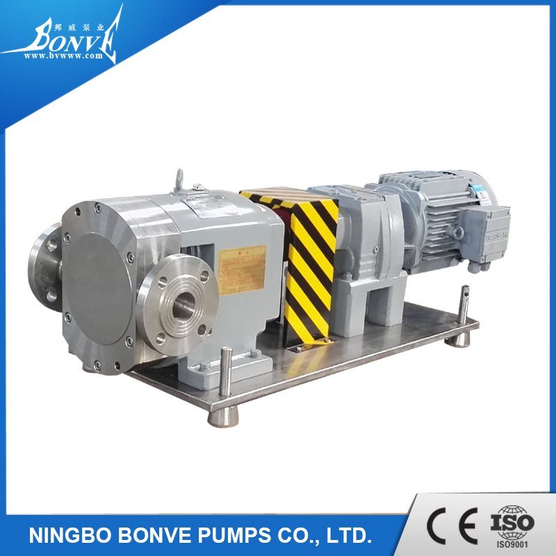 Flange Connection for Bonve Lobe Pumps